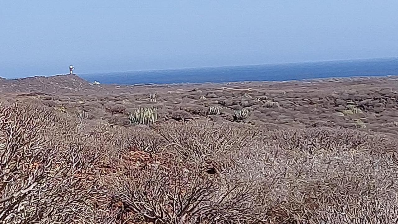 Paraiso Del Palm Mar Exteriör bild