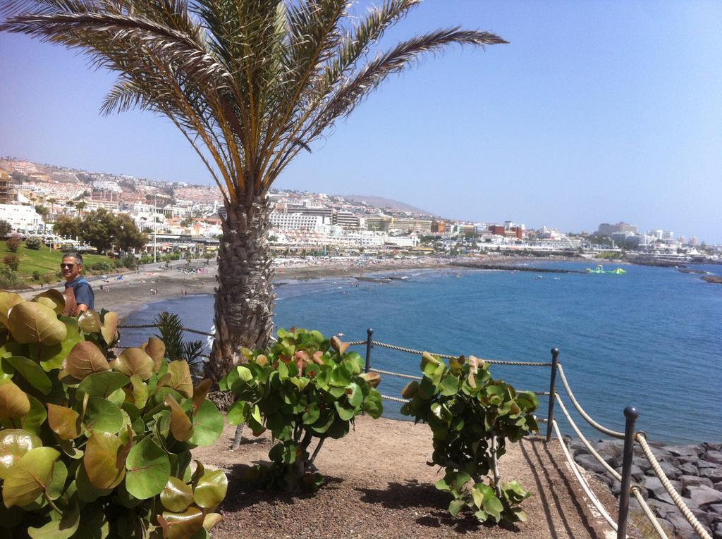 Paraiso Del Palm Mar Exteriör bild